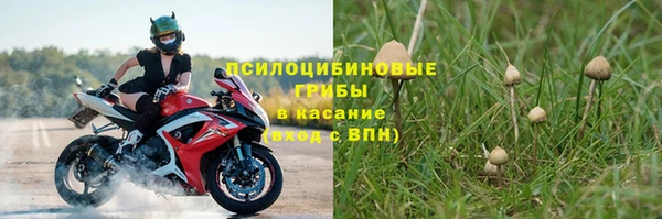 ГАЛЛЮЦИНОГЕННЫЕ ГРИБЫ Бородино